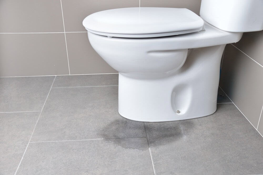 Leaking toilet cistern